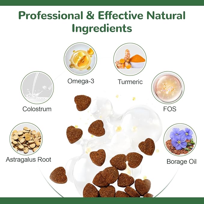 Dog Allergy Chews, Dog Itch Relief Chews for Paw Licking Itchy Skin Seasonal Allergies, Probiotics with Omega-3 Turmeric Astragalus for Large Dogs Coat Immune Supplement-150ct