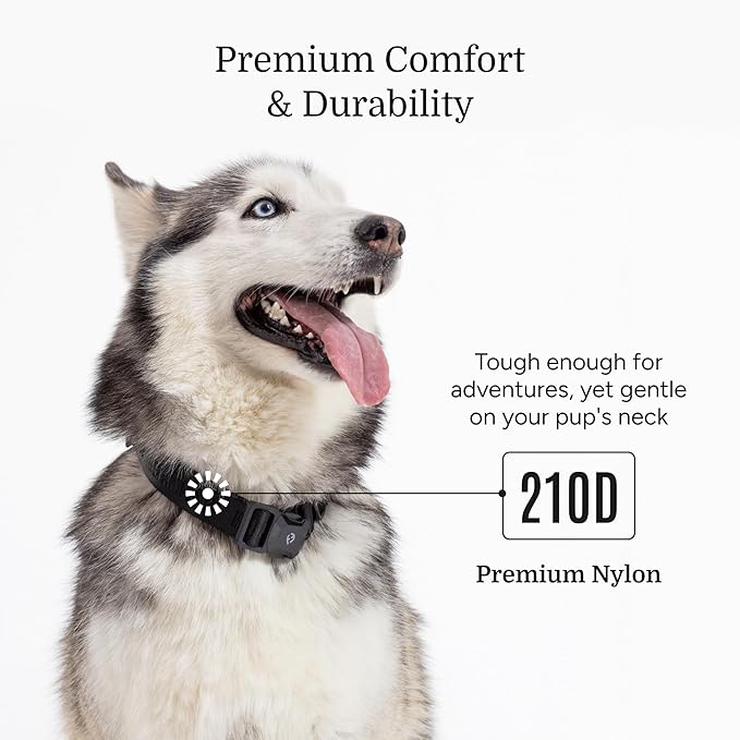 2025 New Edition, Fei & Eve MagEase Dog Collar - Patented Magnetic Buckles | Fur-Safe | Premium 210D Nylon | 450LB Escape-Proof | Adjustable Fit | Medium (Black)