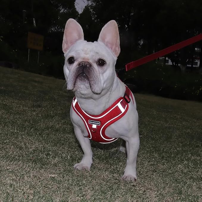 Dog Harness and Leash Set, Adjustable Triangle, Reflective Adjustable Puppy Vest, No Pull Soft Mesh Harness for Small, Medium Dogs, Cats (Red, L)