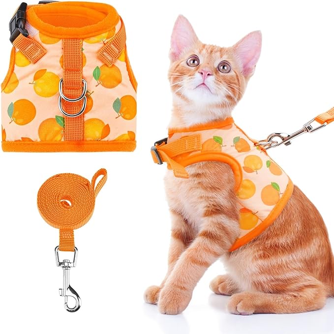 BINGPET Cat Harness with Leash Escape Proof - Fashionable Mesh Cat Dog Walking Harness Leads, Adjustable for Kitties Puppies Small Animals,Orange,S