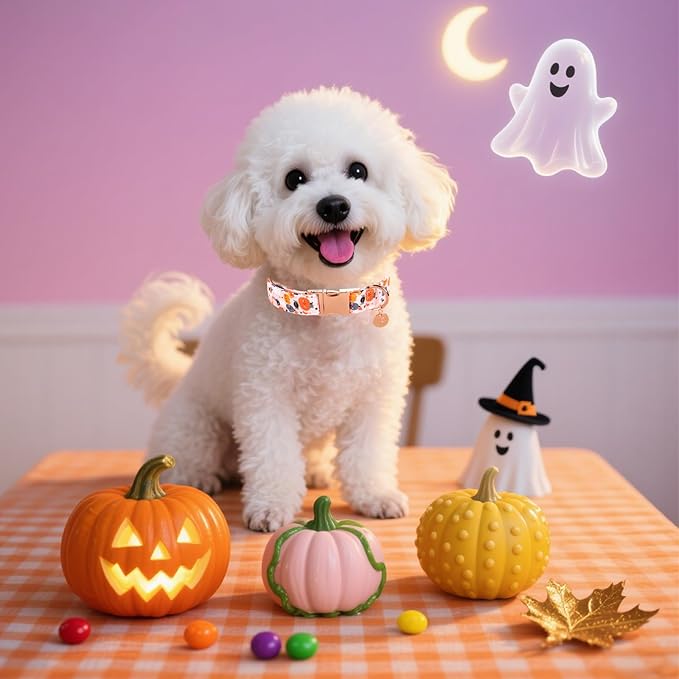 Halloween Dog Collar with Metal Buckle Gift Pumpkin Dog Collar for Small Medium Large Girls or Boys Dogs Cute Durable Comfortable Pet Collars