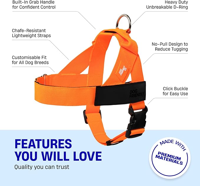 DF Co. Dog Harness | Chafe Resistant Webbing, Adjustable Neck & Chest, and Heavy Duty D-Ring | Sturdy, Comfortable, Easy to Use | Hi-Vis Orange, Size S