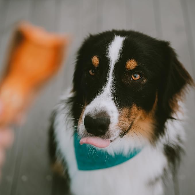 Wholesome Pride Sweet Potato Chews Dog Treats – All-Natural, Single-Ingredient, Grain-Free, 16 oz