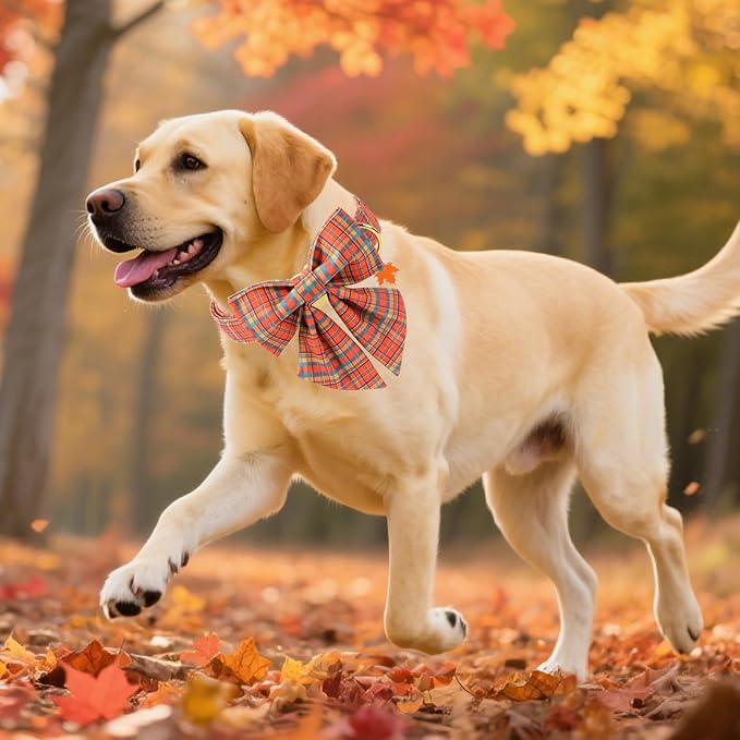 DOGWONG Cotton Fall Plaid Dog Collar, Orange Pumpkin Plaid Dog Collar with Bow Halloween Dog Collars Puppy Necklace for Small Medium Large Dogs