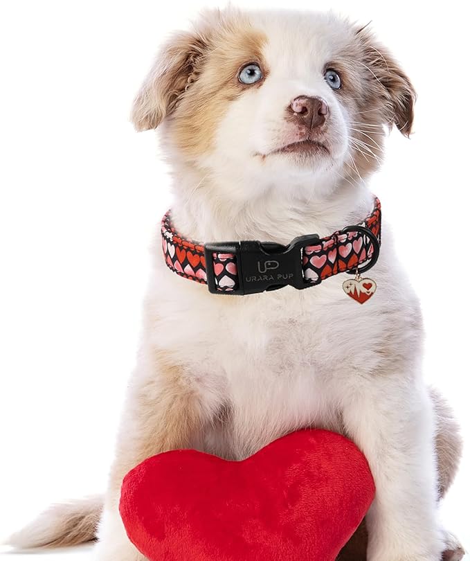 Valentine’s Dog Collar, Pink Heart Dog Collar with Quick Release, Sweet Valentine’s Gift Soft Cotton Collar Pet Girl Boy Dog Collar for Puppy Small Medium Dogs,Wedding Dog Collar