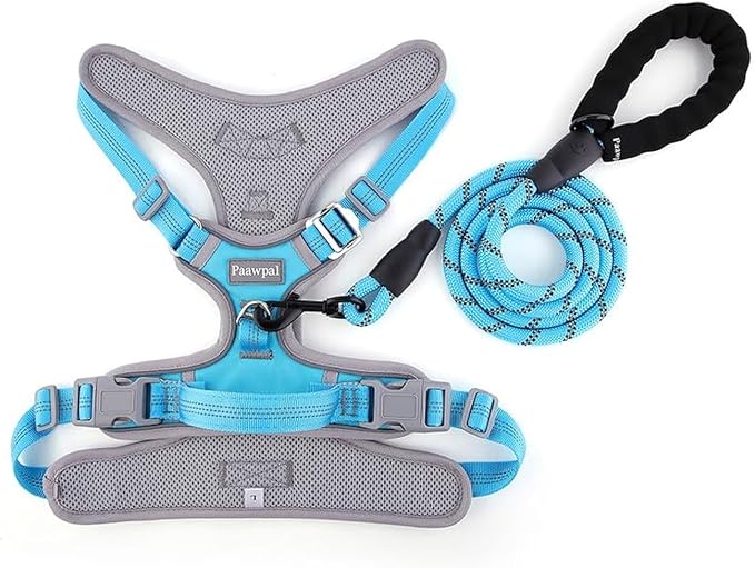 Adjustable Dog Harness - No Pull, Reflective, Soft Padded for Small, Medium, Large Dogs - Includes Leash Turquoise M
