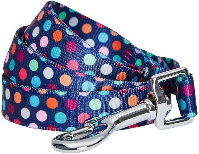 Blueberry Pet Valentine's Day Dog Leash, Velvety Soft-Touch Heart Flocking Lead for Medium Dogs, Rainbow Polka Dots, 5 ft x 3/4"