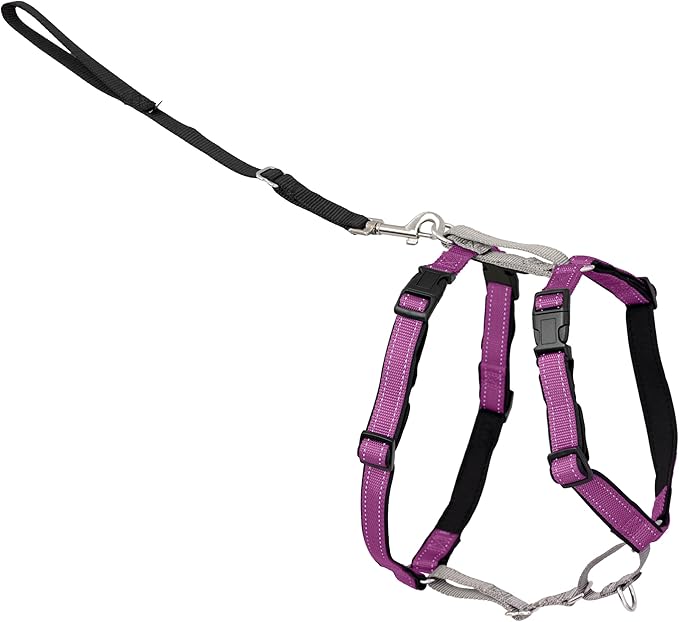 PetSafe 3 in 1 Dog Harness - No Pull Solution for Dogs - Reflective Dog Harness - Front D-Ring Clip Helps Stop Pulling - Comfortable Padded Straps - Top Handle Enhances Control - Plum - Small