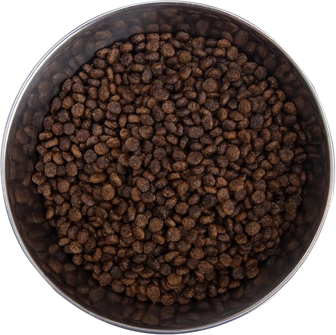 Health Extension Grain Free Buffalo & Whitefish Little Bites Small Kibble Formula with 30+ Superfoods and Probiotics for Teacups, Toys & Miniature Dogs (1lb)