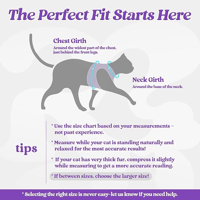 rabbitgoo Cat Harness and Leash Set for Walking Escape Proof, Adjustable Soft Kittens Vest with Reflective Strip for Cats, Comfortable Outdoor Vest, Purple, S