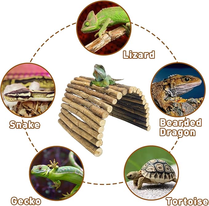 BNOSDM 12.99"x 18.89" Reptile Hideout Wooden Bridge Lizard Hide Caves Bearded Dragon Habitat Accessories for Gecko Snake Frog Chameleon Iguana Tortoise