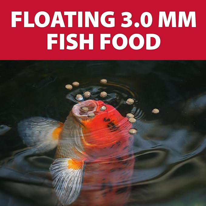 The Pond Guy Staple Fish Food for Backyard Koi & Goldfish, Choice Floating Pellets for Fish Wellness & Health, Smart Nutrition for Clean Ponds, 40 lbs