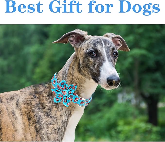 Unique style paws Valentine's Day Dog Collar with Flower Tie Blue Heart Puppy Collar Best Gift for Small Medium Large Boys Girls-XS
