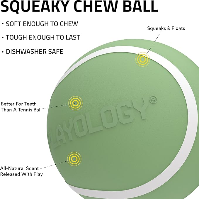 Playology Dog Toys | Squeaky Chew Ball - Bouncy Durable Floating Fetch Ball for Dogs | Medium Butternut Squash & Sage Limited Edition Fall Scented Toy - Easy to Clean and Made from Non Toxic Materials