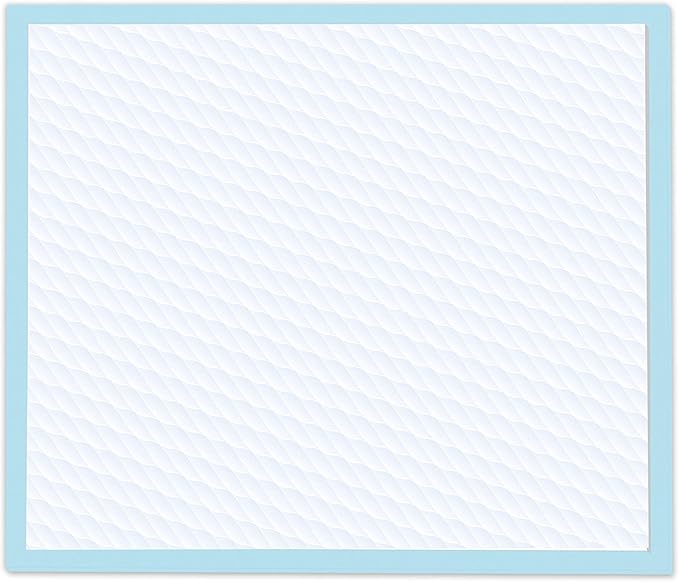 Four Paws Wee-Wee Superior Performance Unscented Pee Pads for Dogs & Puppies, Quilted Leak-Proof Dog Housebreaking Potty Training Floor Protection, 22" x 23", 10 Count