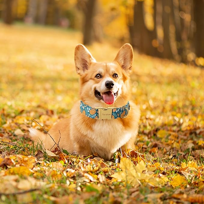 Unique style paws Halloween Dog Collar Metal Buckle Green Pumpkin Puppy Collar Gift Durable Cute Collar for Small Medium Large Boys Girls Dogs