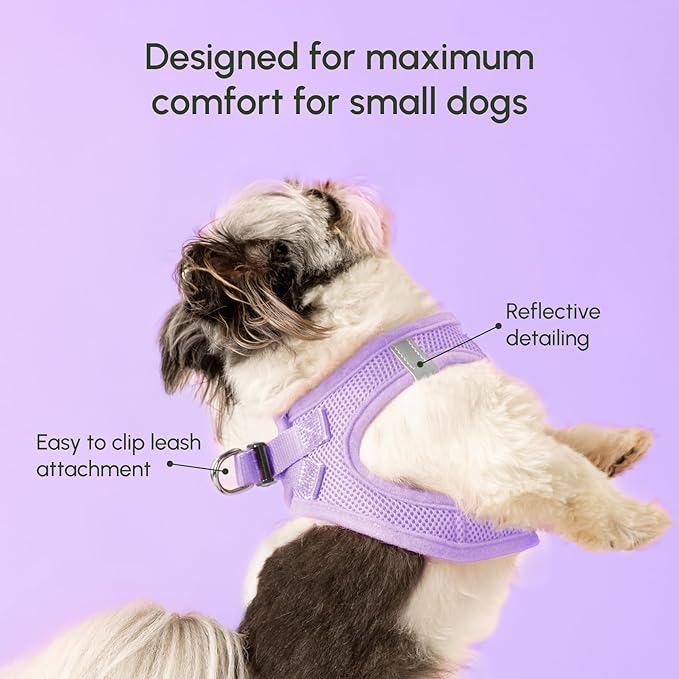 Downtown Pet Supply Step in Dog Harness for Large Dogs - Adjustable, Escape Proof Dog Harness with Reflective Trim - All-Weather, Fast-Drying Padded Mesh Fabric - Lilac, XL