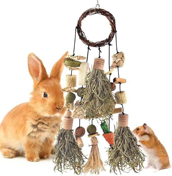 Bissap Rabbit Chew Toy, Bunny Cage Hanging Chewing Toys and Treats Wooden with Snacks for Guinea Pigs Chinchillas Hamsters Rats and Other Small Pets Teeth Grinding (Timothy Hay & Vine)