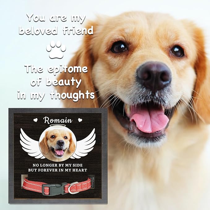 Dog Memorial Gifts Personalized Picture Frame, in Memory of Dog Passing Away Sympathy Gifts for Loss of Dogs, Cat Memorial- Fits 3 Collar Lengths