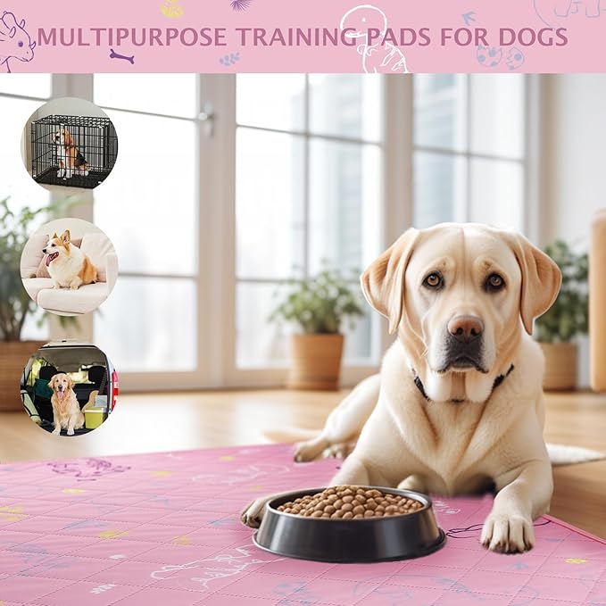 IEUUMLER Washable Pee Pads for Dogs, 2 Pack Non-Slip & Waterproof Pack Whelping Pad, Reusable Washable Puppy Potty Training Pad with Fast Absorbent for Playpen EU007 (Pink Dinosaur, 36"X41"-2pcs)