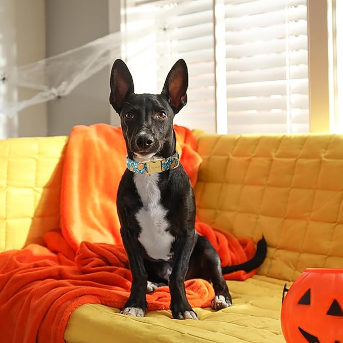 Unique style paws Halloween Dog Collar Metal Buckle Green Pumpkin Puppy Collar Gift Durable Cute Collar for Small Medium Large Boys Girls Dogs