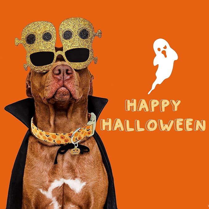 Faygarsle Halloween Dog Collar, Orange Pumpkin and Bat Pattern, Fall Festive Design for Small Medium Large Dogs M