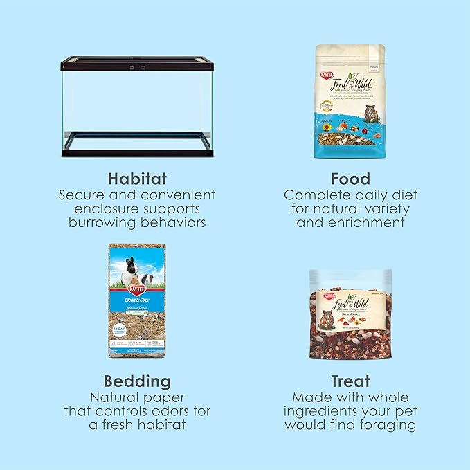 Kaytee Clearview Home Bundle, Glass Hamster Habitat, Secure and Chew-Proof, Fully Assembled, Easy to Clean, Comes with Bedding, Food, Treats, 20 inches