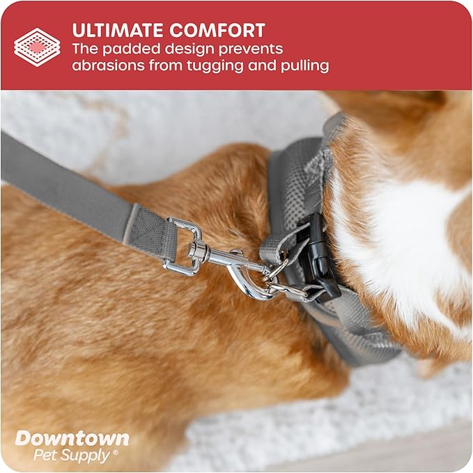 Downtown Pet Supply Step-in Dog Harness – No Pull, Adjustable Padded Mesh with Reflective Trim, Secure Buckle Strap – Comfortable & Breathable Small Dog Harness, XX-Small, Light Gray