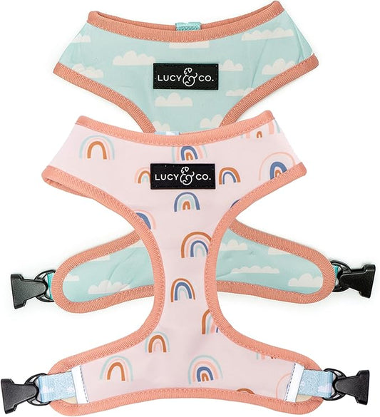 Cute Reversible Dog Harness Walking Halter - Best Designer Pet Harnesses for Medium Dogs - Padded Adjustable Vest for Easy Walking (Large, in The Clouds)