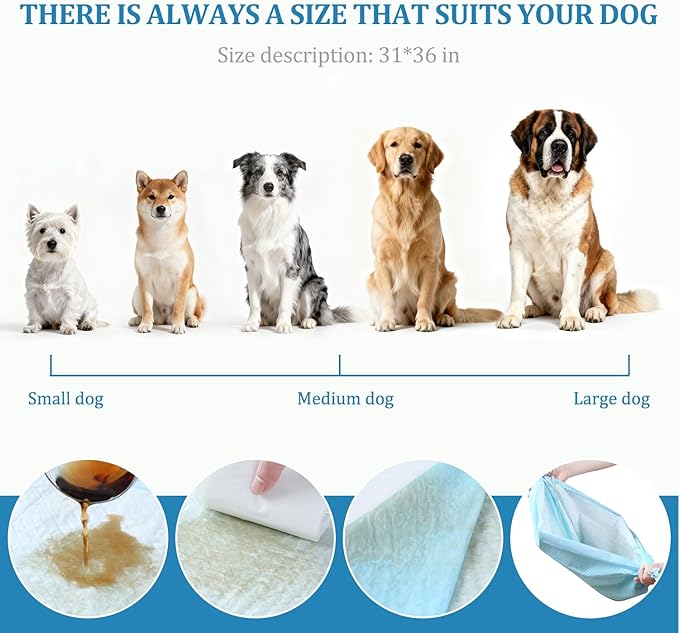 Extra Large Dog Pee Pads, 31"x36" Jumbo Puppy Potty Training Pads | 100 Count Super Absorbent & Leak-Proof Pads for Large Breed Dogs, Great for Crate Lining & Floor Protection