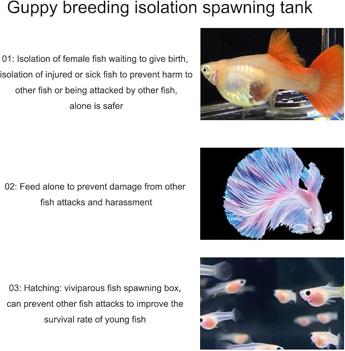 3pcs Floating Nursery Tanks Breeding Box for Baby Fish and Shrimp Great for Home and Office Aquariums Use