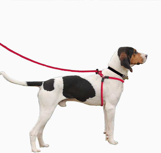 Harness Lead No Pull Dog Harness and Leash Set, Anti Pull Dog Harness for All Breeds and Sizes, One-Piece Cushioned Rope Design Safely Prevents Escaping and Pulling (Small/Medium, Pink)