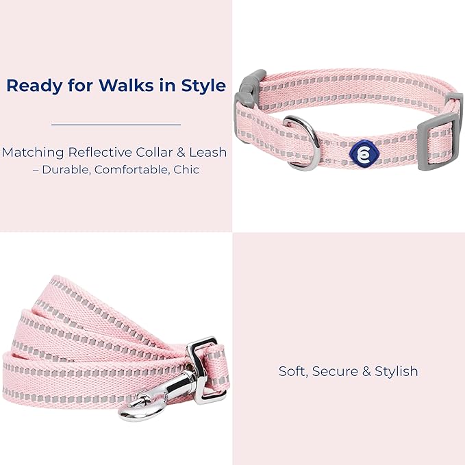 Blueberry Pet Essentials Reflective Dog Collar & Leash Set, Adjustable for Small Dogs | Safe Walking Gear for Pet Parents, Puppy Training & Daily Use SmallDogs, Baby Pink