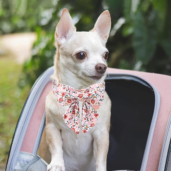Flower Bowtie Dog Collar With Metal Buckle - Summer Comfortable Cotton Collar for Puppy Boy Girl, XL