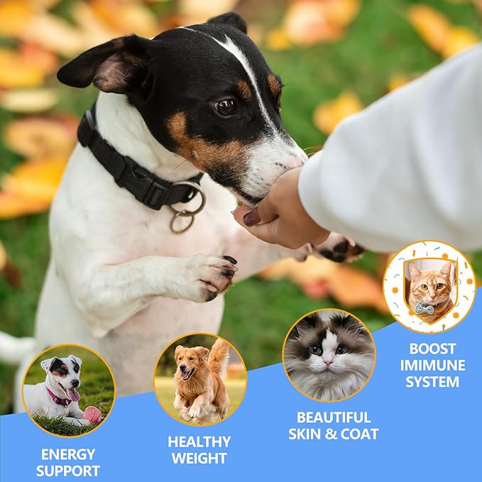 Herring Fish Dog Treats, Freeze Dried, Wild-Caught, Single Ingredient, High-Protein, Omega 3 & 6 for Skin & Coat, No Additives, Grain-Free Cat & Dog Treats (4.0 oz)