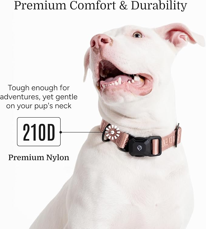 2025 New Edition, Fei & Eve MagEase Dog Collar - Patented Magnetic Buckles | Fur-Safe | Premium 210D Nylon | 450LB Escape-Proof | Adjustable Fit | Medium (Blush)