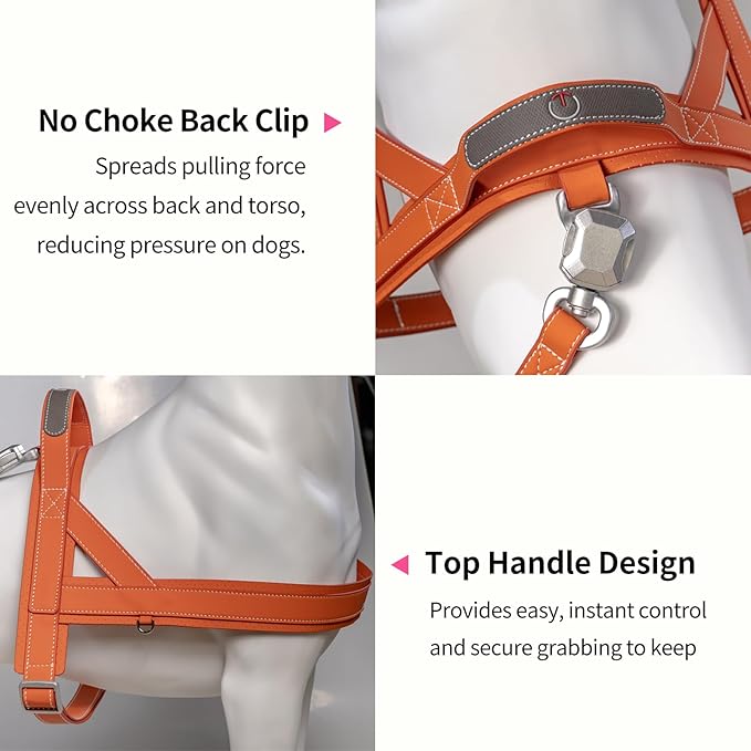 Magnetic Quick-Release Buckle Dog Harness and Leash Set, Easy Walk Faux Leather Puppy Harness, Easy On & Off Dog Vest with Handle for Medium, Large Girl Boy Dogs for Hiking Training, Orange, L