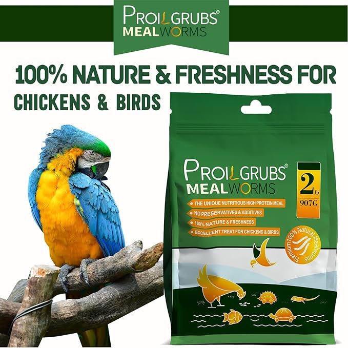 PROILGRUBS 2 LBS Dried Mealworms Super High Protein Nutritious Feed for Birds &Chickens - Organic Meal Worms for Laying Hens,Duck,Fish,Turtle,Reptil…