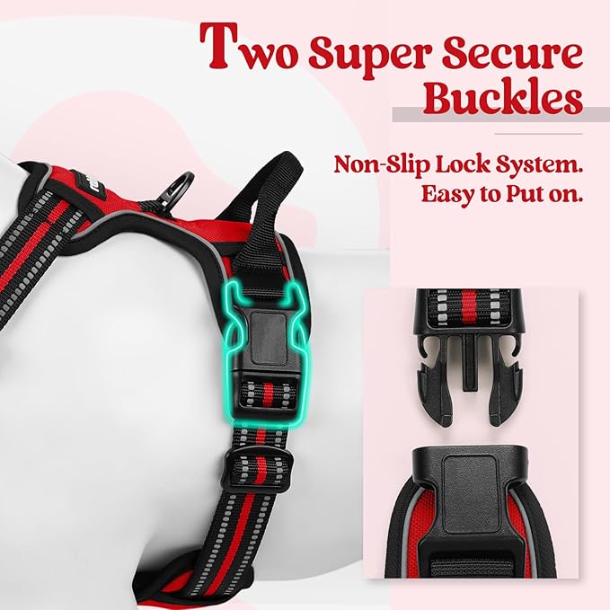 rabbitgoo Dog Harness No Pull with 2 Leash Clips, Adjustable Soft Padded, Reflective Oxford No Choke Pet Vest with Easy Control Handle for Medium Sized Dogs, Red, M
