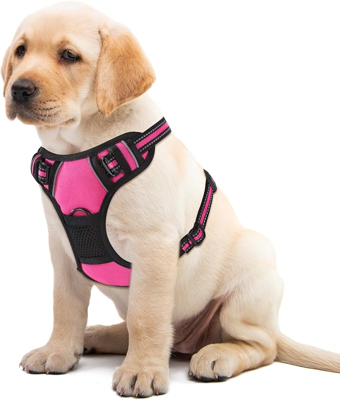 Hot Pink No-Pull Dog Harness with 2 Leash Clips，Soft Padded Vest for Medium Dog, Adjustable Reflective Dog Vest Easy to Put on and Take Off, (Neck: 14"~20", Chest: 21"~27", Hot Pink M)