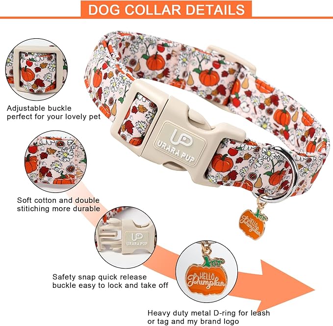 Fall Dog Collar – Halloween Dog Collars-Adjustable Pumpkin & Daisy Floral Collar with Quick Release, Autumn Harvest Dogs Collars