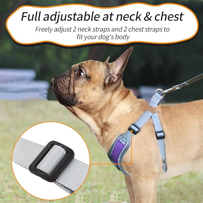 Dog Harness with Leash Set, Adjustable Step in Collars Harness with Breathable Padded Vest for Medium Dogs Training and Running (M, Purple)