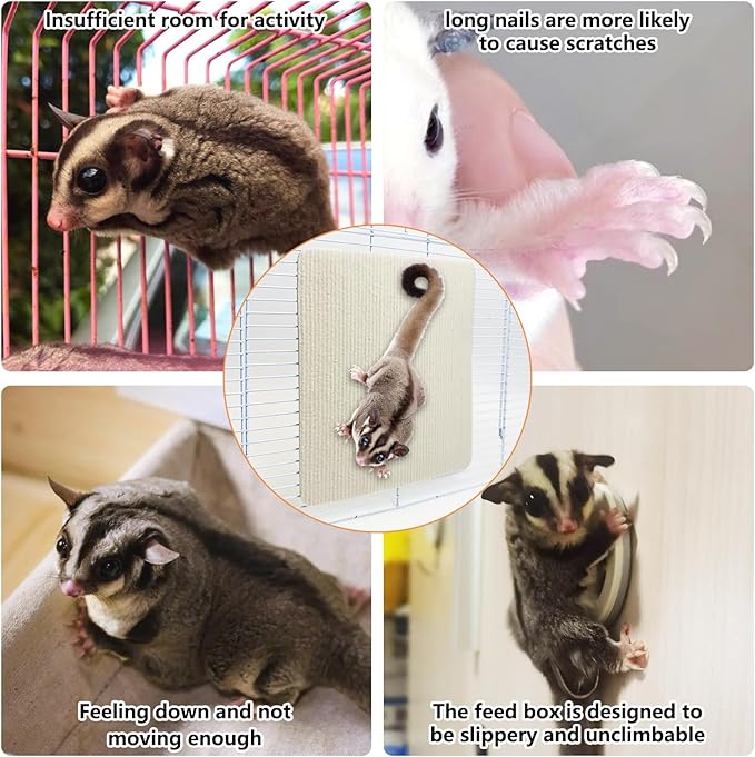 BNOSDM 6 Piece Sugar Glider Toys, Self-Adhesive Sugar Glider Climbing Mats Cage Accessories Set for Scratching Claws Sharpening Pads for Wall or Furniture Saving Space