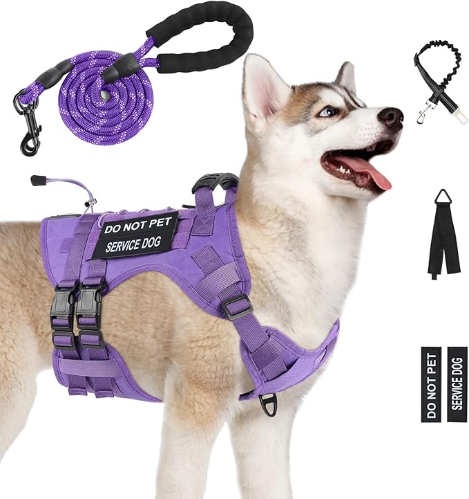 No Pull Tactical Dog Harness for Small Dogs, Escape Proof Molle Dog Vest Harness and Leash Set, Adjustable Military Service Dog Harness with Handle for Medium Large Dogs(Purple, Medium)