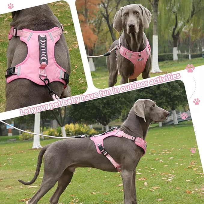 Dog Harness No Pull Adjustable Reflective,for Medium and Large Small Dog with Leash 59.06in (Pink, L)