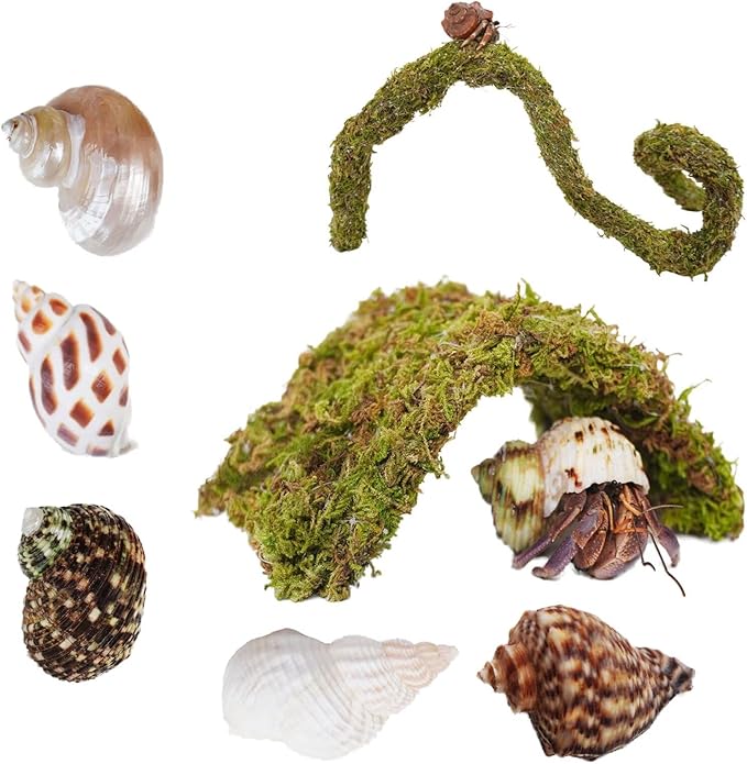 Hermit Crab Accessories 7PCS, Include 5PCS Hermit Crab Shells, 1PCS Climbing Toy and 1PCS Hermit Crab Hideout