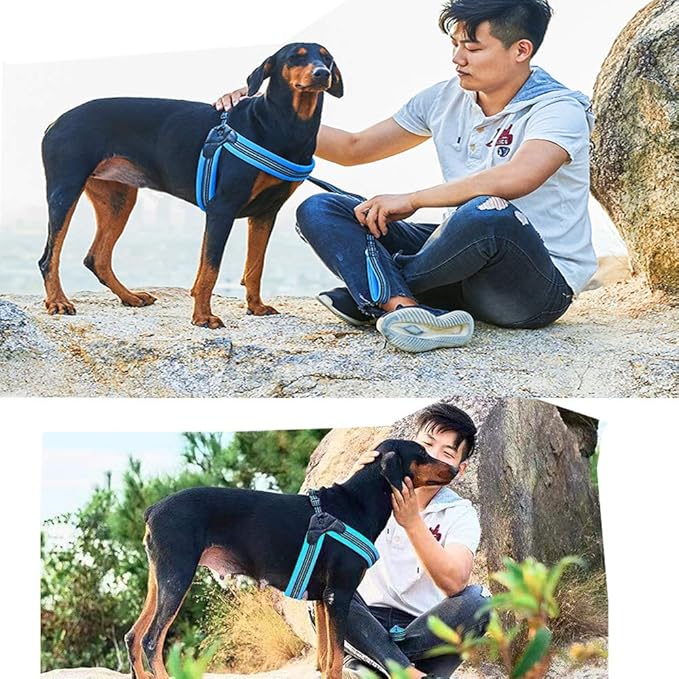 Dog Harness No Pull Ultra Soft Breathable Padded Pet Harness 2 Adjustable Botton, 3M Reflective Pet Harness for Dogs Easy Control for Small Medium Large Dogs (M, Blue)