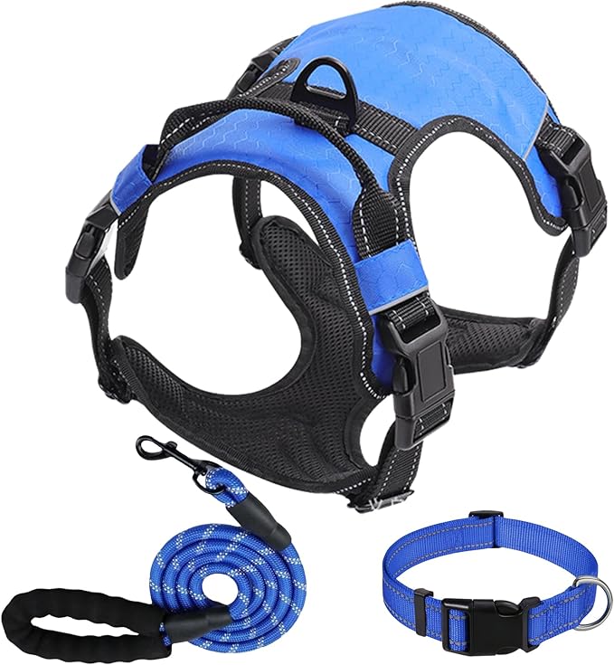Dog Harness Set, No Pull Dog Vest Harness and 5ft Leash & Collar for Small Medium Sized Large Dog Cat,Adjustable Soft Nylon Padded Dog Vest Reflective Front Clip Vest with Easy Handle -Blue L