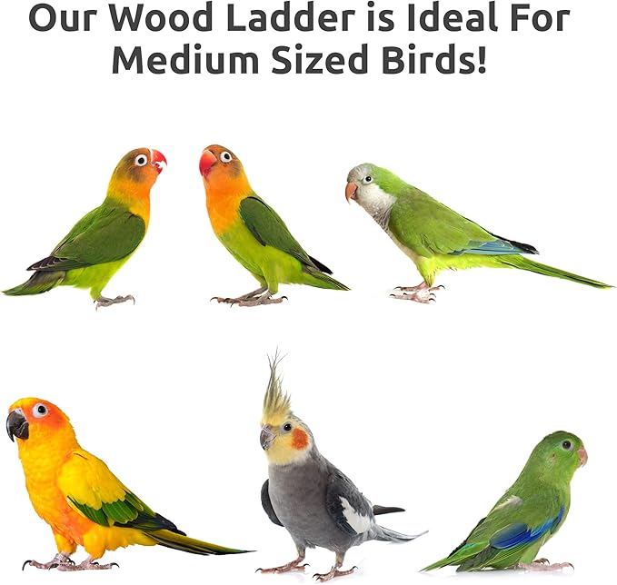 SIMENA Bird Cage Ladder, Parrot Bridge Made of Natural Wood and Rope, Interactive Bird Toy for Small and Medium Sized Birds and Parrots, Parakeets, Cockatiels, Amazon Parrots, Conures etc.