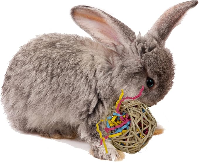 Super Bird Creations SC228 Bunny Foraging Basket - Toss & Chewable Bamboo Plate w/ 25 Engaging Toys - Ideal for Rabbits Hamsters Cockatiel Parrot - Bundle Toys for Medium Birds & Small Animals, 9"x9"